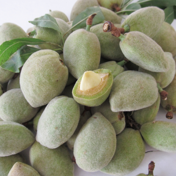 Green Almonds